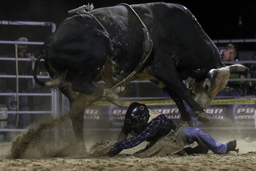 Jay Borghero tries to get to his feet