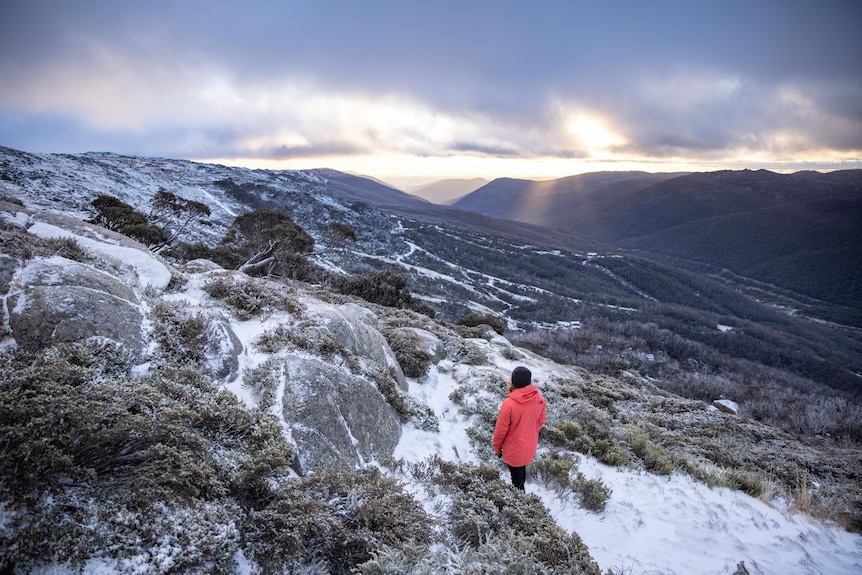 thredbo