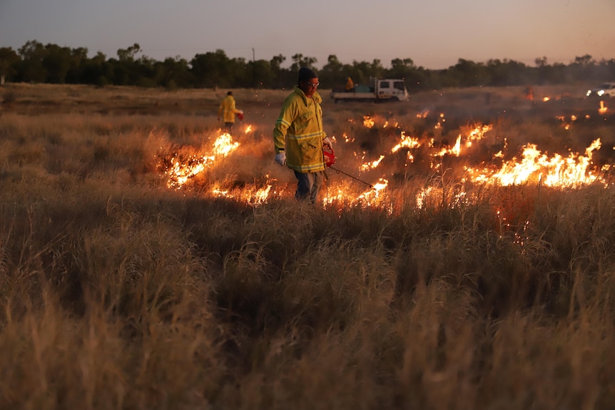 A woman wearing fire safe clothing hold a fire lighter and lights the grass in an savanna.