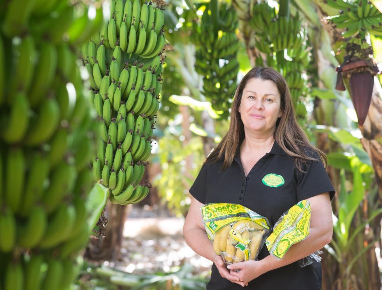 woman in banana paddock with bananas
