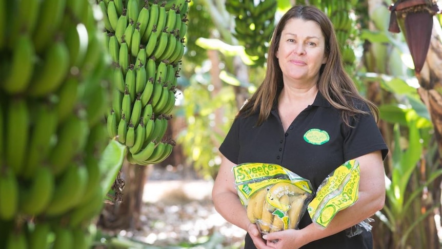 woman in banana paddock holding bags of bananas