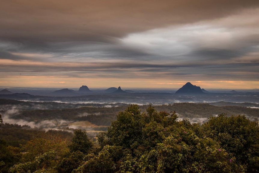 Fog settles over the Glass House Mountains in Qld.