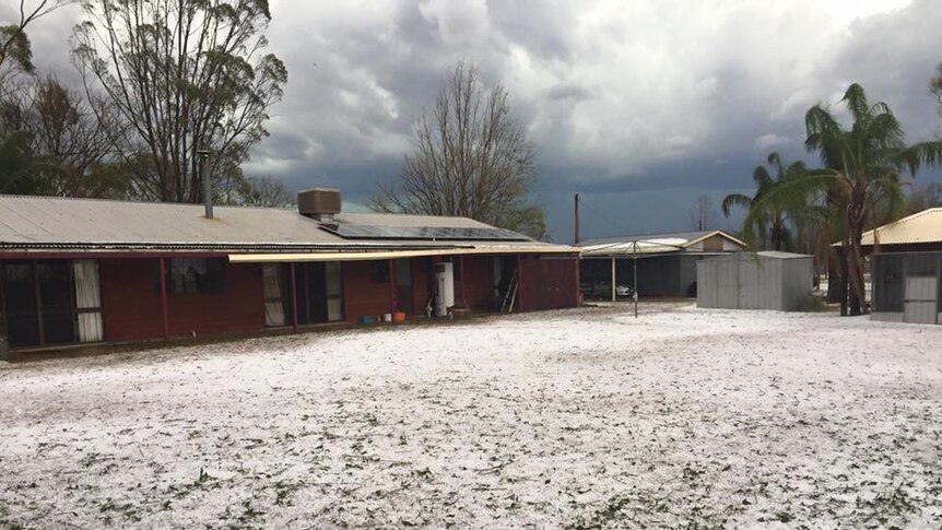 Hail blankets the backyard of a home in Chinchilla