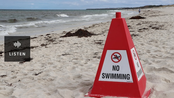 Red cone with a no swimming sign attached on a white sand beach. Has Audio.