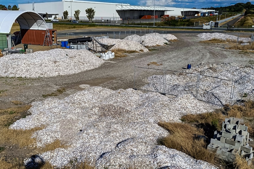 Mounds of oyster shells