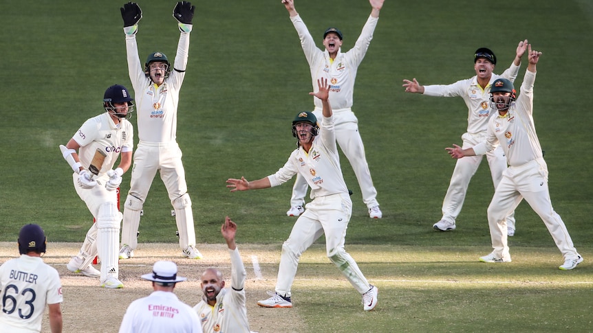 Members of Australian cricket team have hands in the air on the pitch 