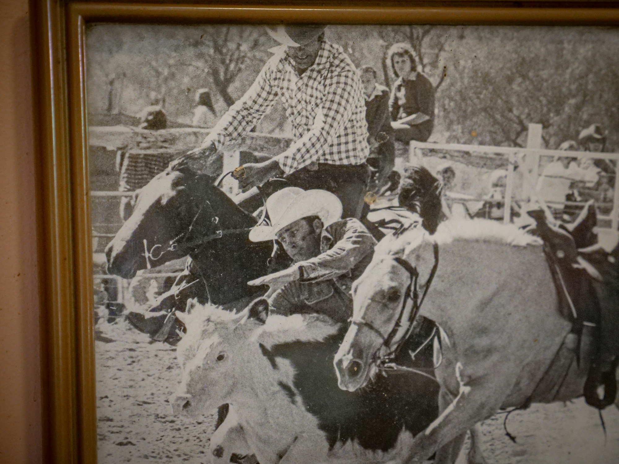 A black and white photo of a man leaning off a horse to grab a running calf