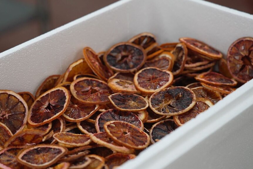 Image of dried fruit. 