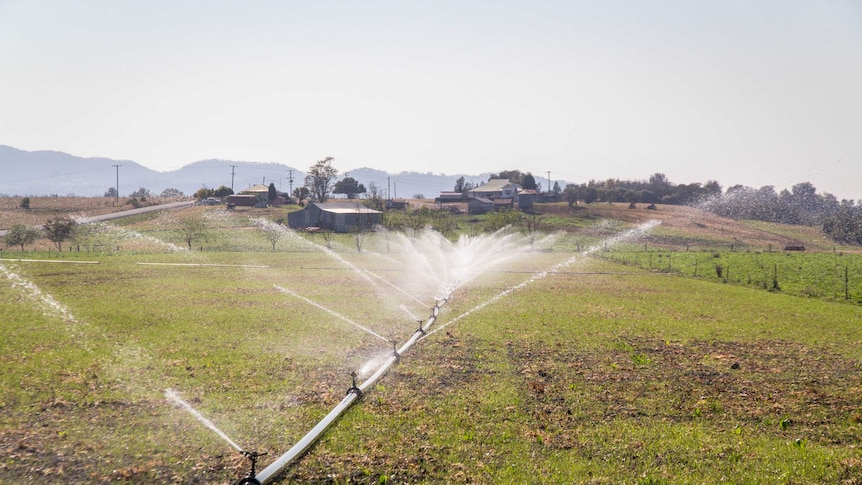 Irrigators spray water on paddocks.