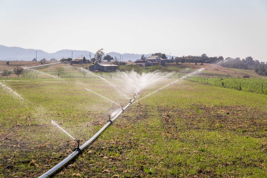 Irrigators spray water on paddocks.