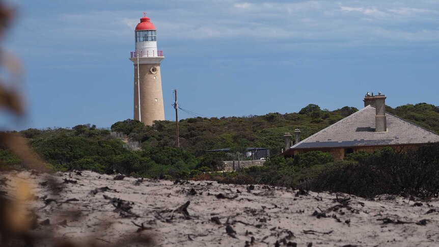 Bushland survived close to the lighthouse, but further out it was destroyed.