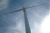 Work on preparing the application for the Woolbrook Wind Farm is continuing (file photograph)