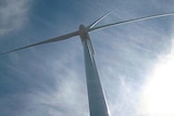 Work on preparing the application for the Woolbrook Wind Farm is continuing (file photograph)