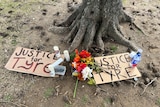 Flowers, candles and signs saying "Justice for Tyre" sit at the base of a tree. 