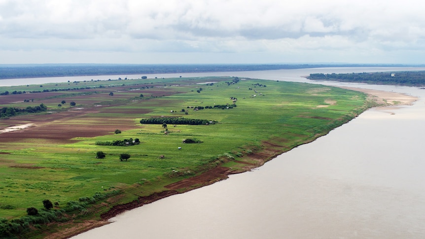 A flat, green but sparse island in a brown river