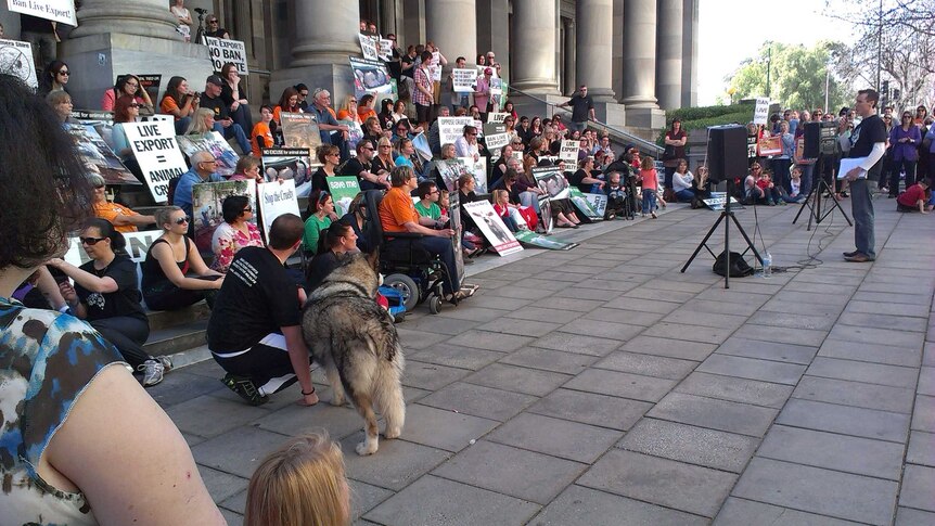Protesters gather on the steps of Parliament House in Adelaide.