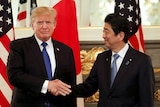 US President Donald Trump looks at the camera while shaking the hand of Japan's Prime Minister Shinzo Abe, who looks at Trump.