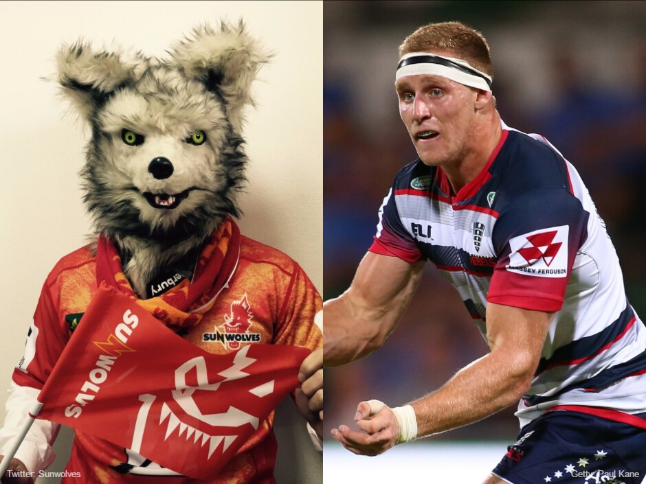 Super Rugby - Round One: What did we learn? - ABC News