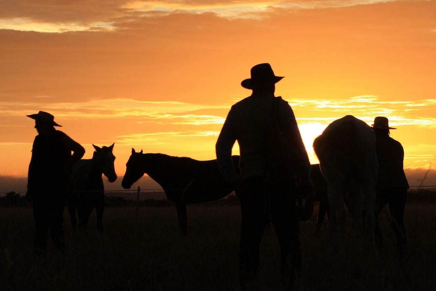 Drovers and cattle on the annual Harry Redford Cattle Drive in outback Queensland.