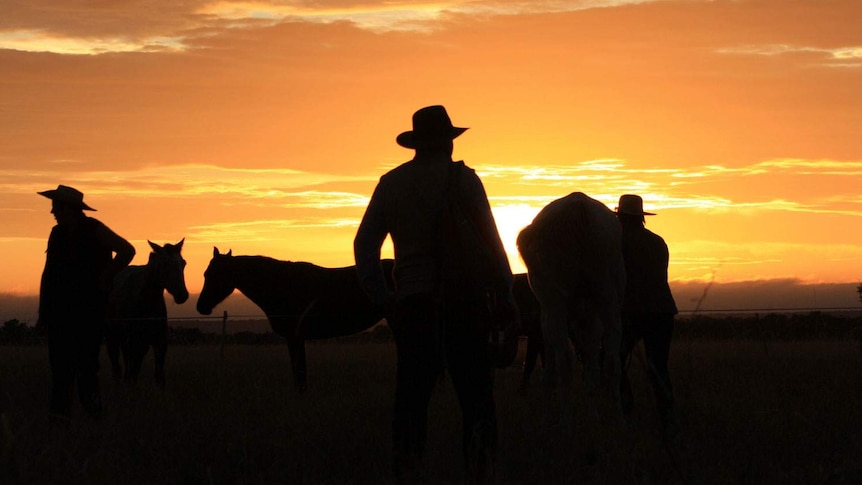 Drovers and cattle on the annual Harry Redford Cattle Drive in outback Queensland.