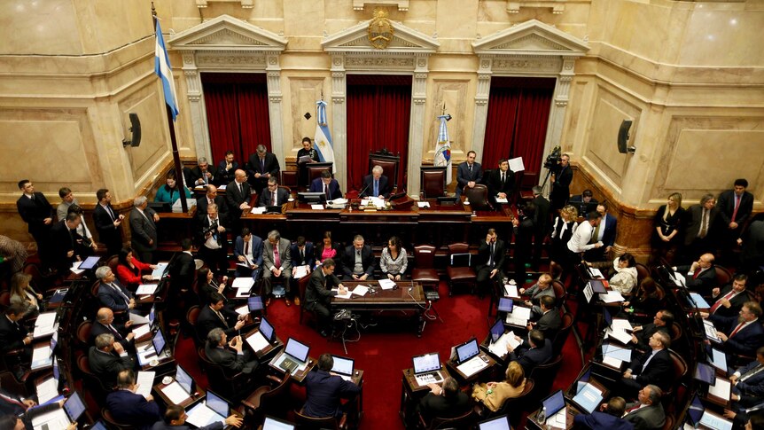 Argentina's Senate debates abortion law