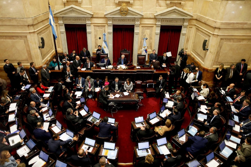 Argentina's Senate debates abortion law