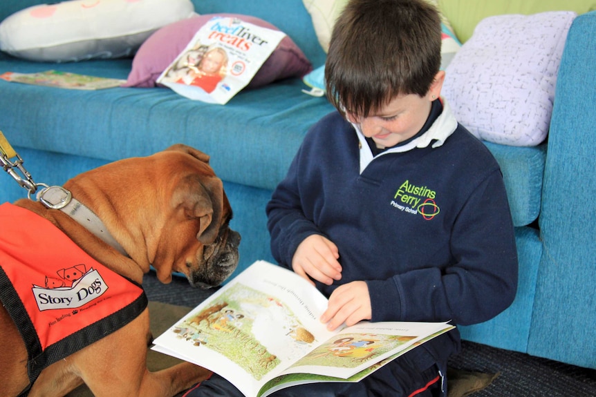 Logan reading to Lollipop