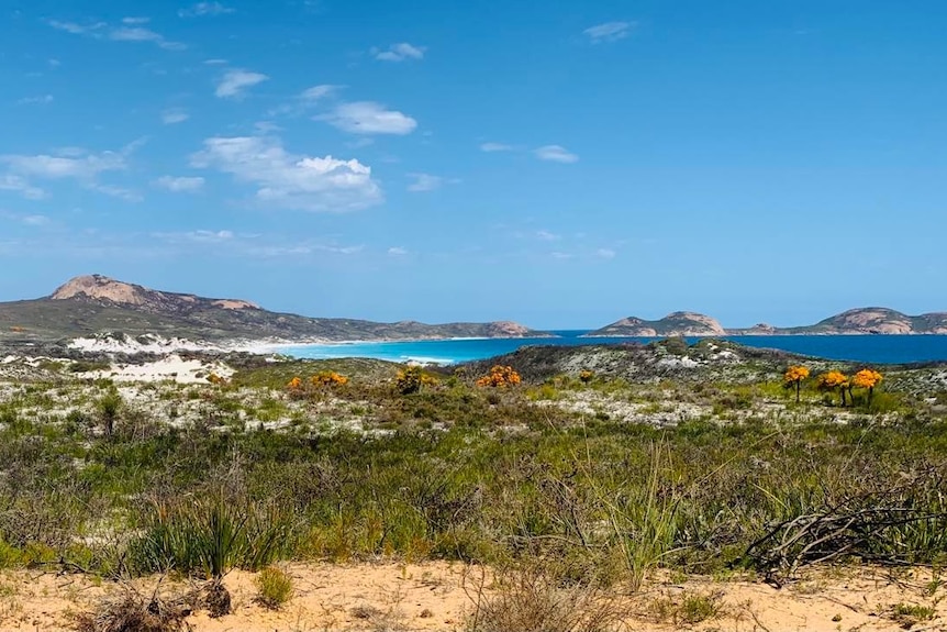 A landscape shot of Lucky Bay