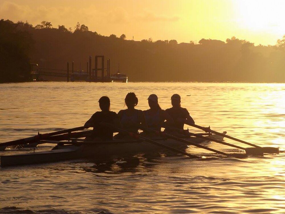 Brisbane rowers help tourists feel welcome while offering unique view ...