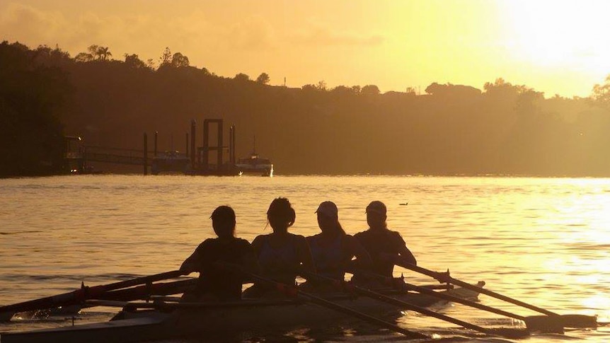 Rowers from the Commercial Rowing Club have been taking tourists out on the river.