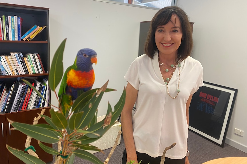 A woman with a colourful bird in an office
