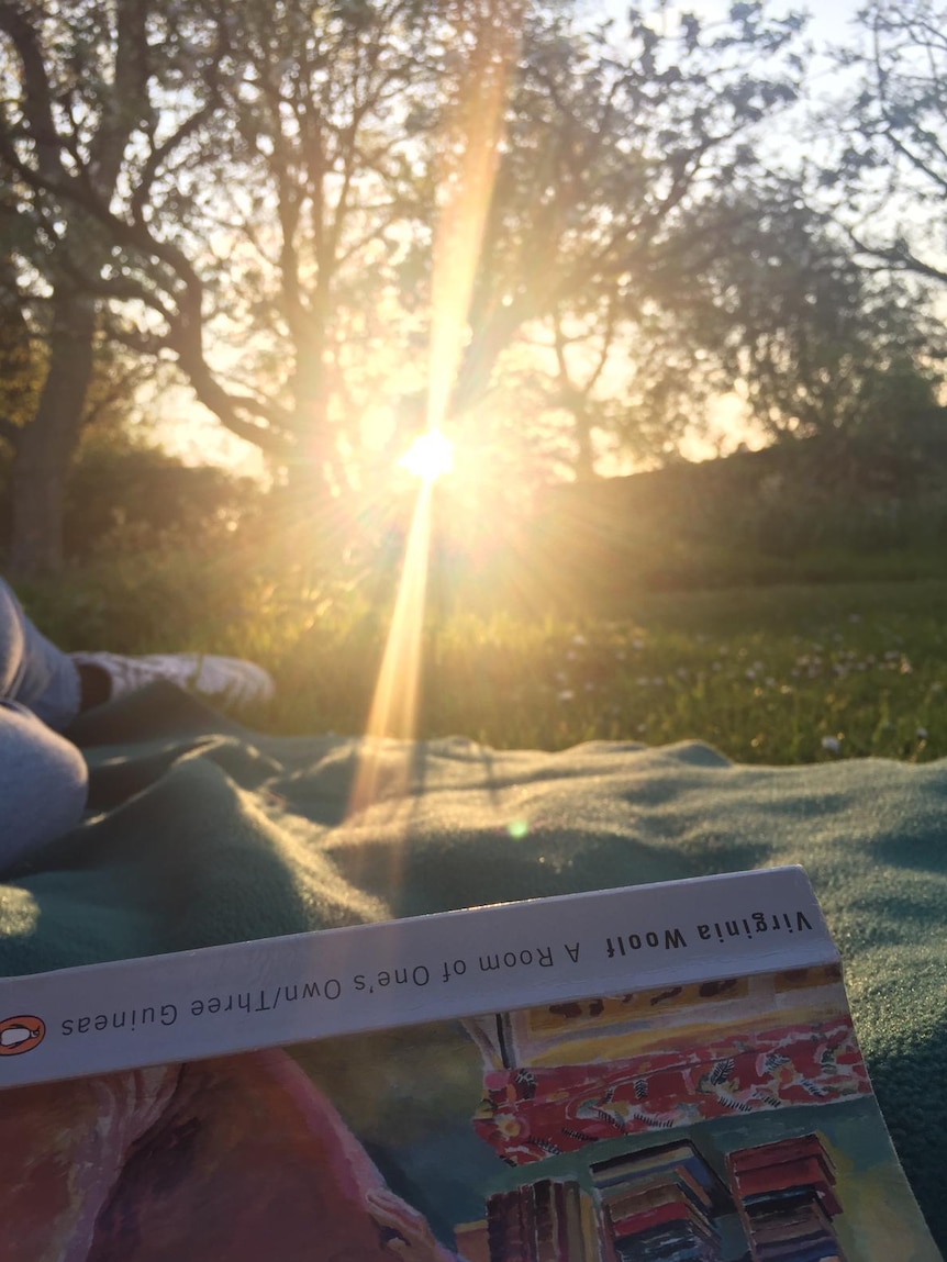 Woman reads a book on the grass in afternoon sunlight