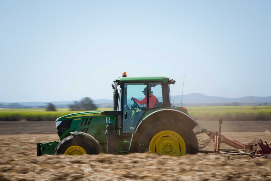 Glenn Bressow drives a tractor through a harvested field of sugar cane.