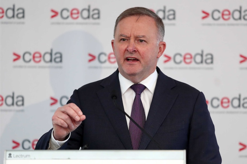 Anthony Albanese holds up his hand while speaking at a lectern.
