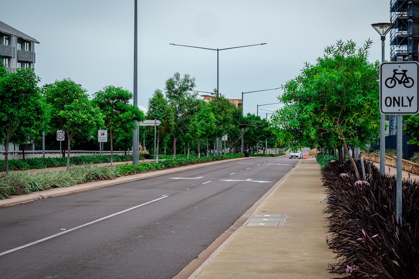 Static of a new dual carriageway lined with shade trees.