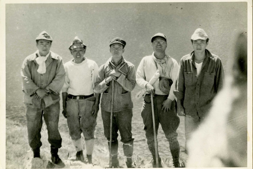 A black and white photo of four of men standing in a line, two of them have shovels.