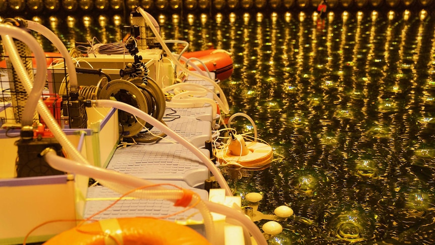 A platform inside super kamiokande floats in the water
