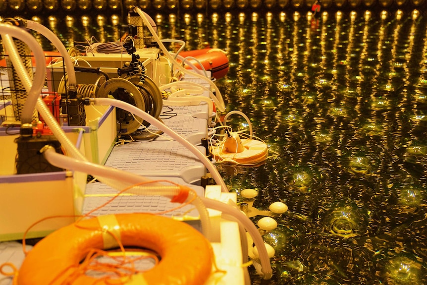 A platform inside super kamiokande floats in the water