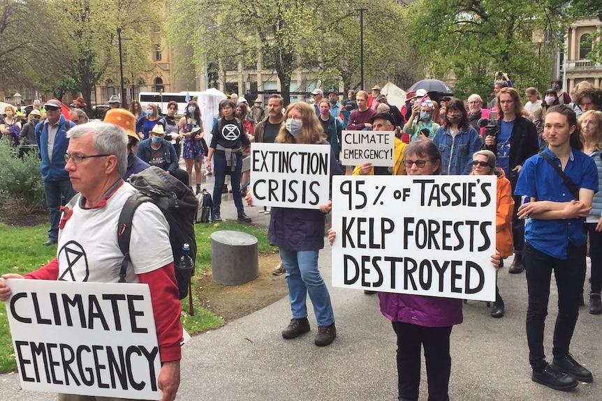 Protesters hold placards in Hobart