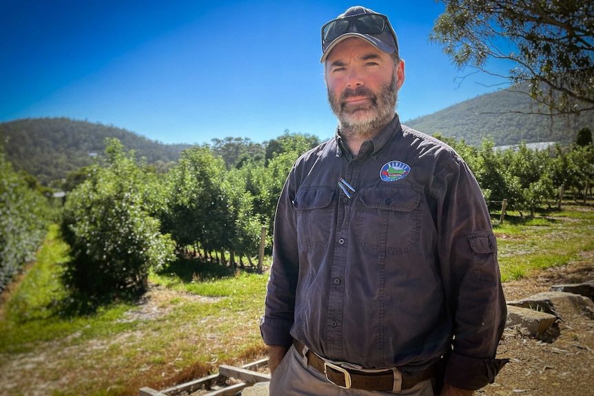 Tasmanian cherry grower Howard Hansen standing in a field.