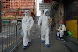 Government investigators wearing protective suits, walk in the Yau Ma Tei area, in Hong Kong