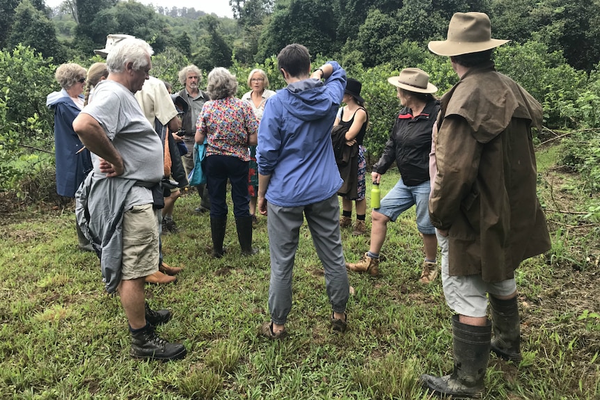 Farmers standing around Dr Wendy Seabrook in the orchard.