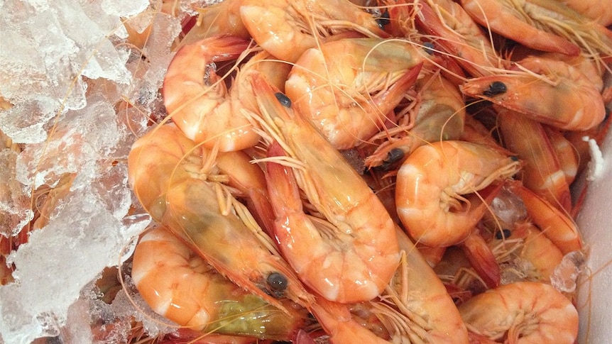 Thailand has been accused of slave-like conditions in its prawn peeling factories.