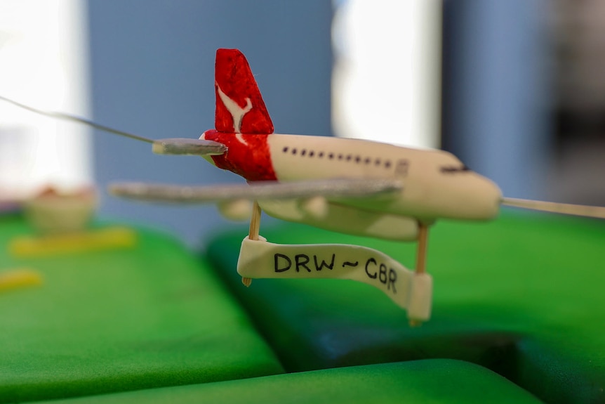 A plane made from sugar on a cake.