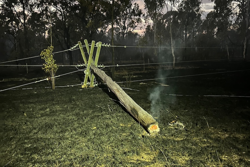 A toppled-over power pole
