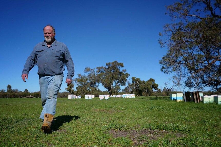 Fourth generation beekeeper Kim Fewster walking near hives at his Muchea property in July 2020.