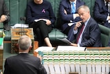 Bill Shorten in question time listening to Malcolm Turnbull