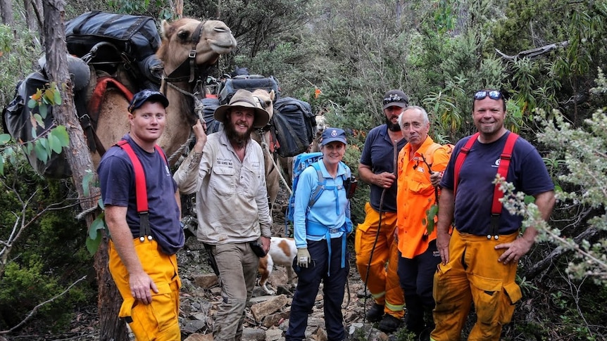 Volunteers from the Tasmania Fire Service and SES with John Elliott and his camels in bushland.