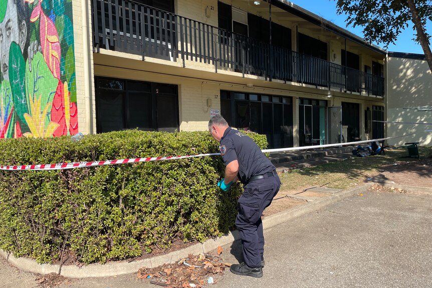 A policeman bends over to inspect something in a hedge in front of a unit complex