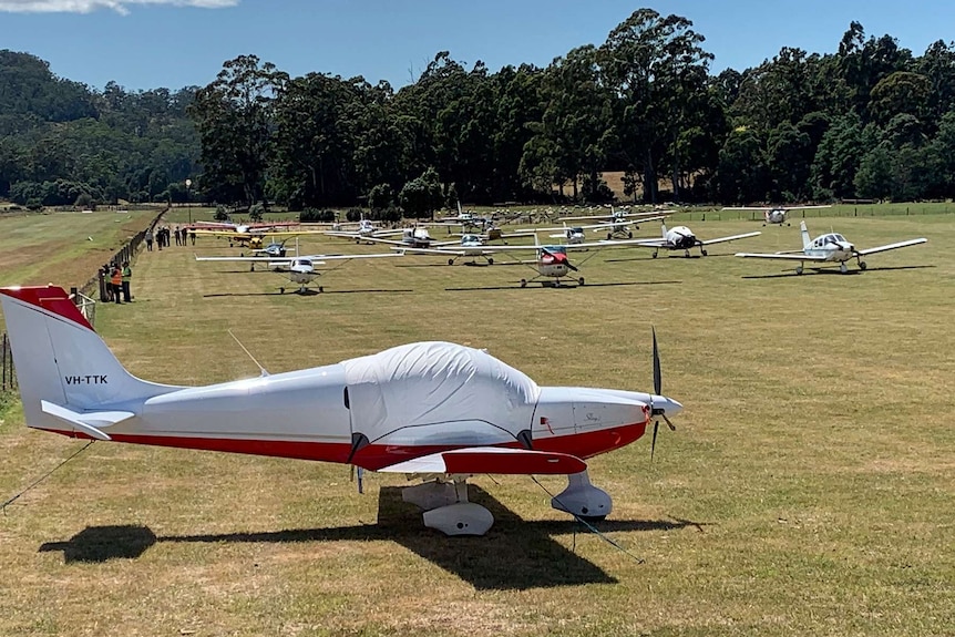 A field of around 30 small planes are parked in a field with trees in the background.